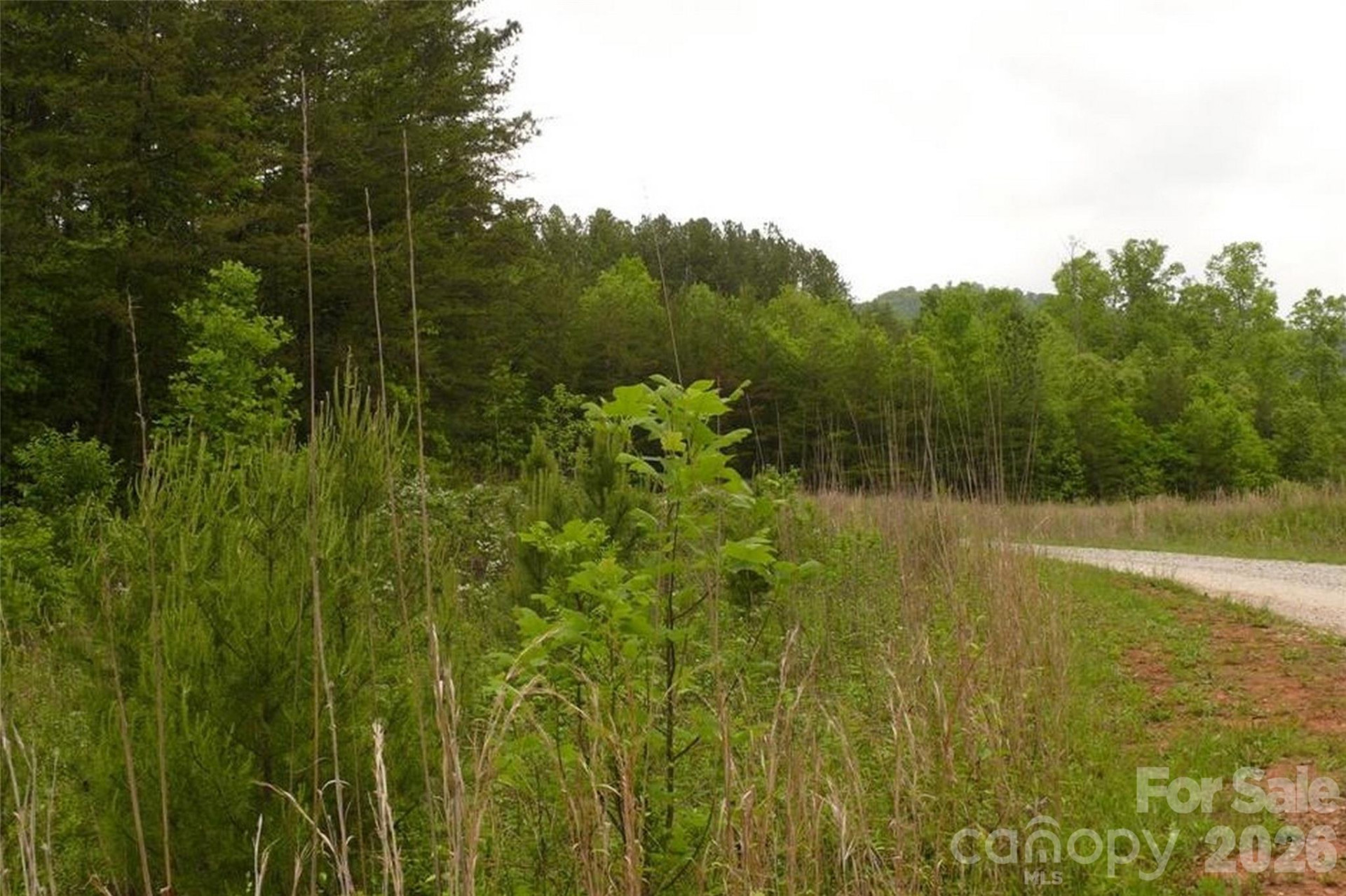 0 Vineyards Way #14 - Photo 5