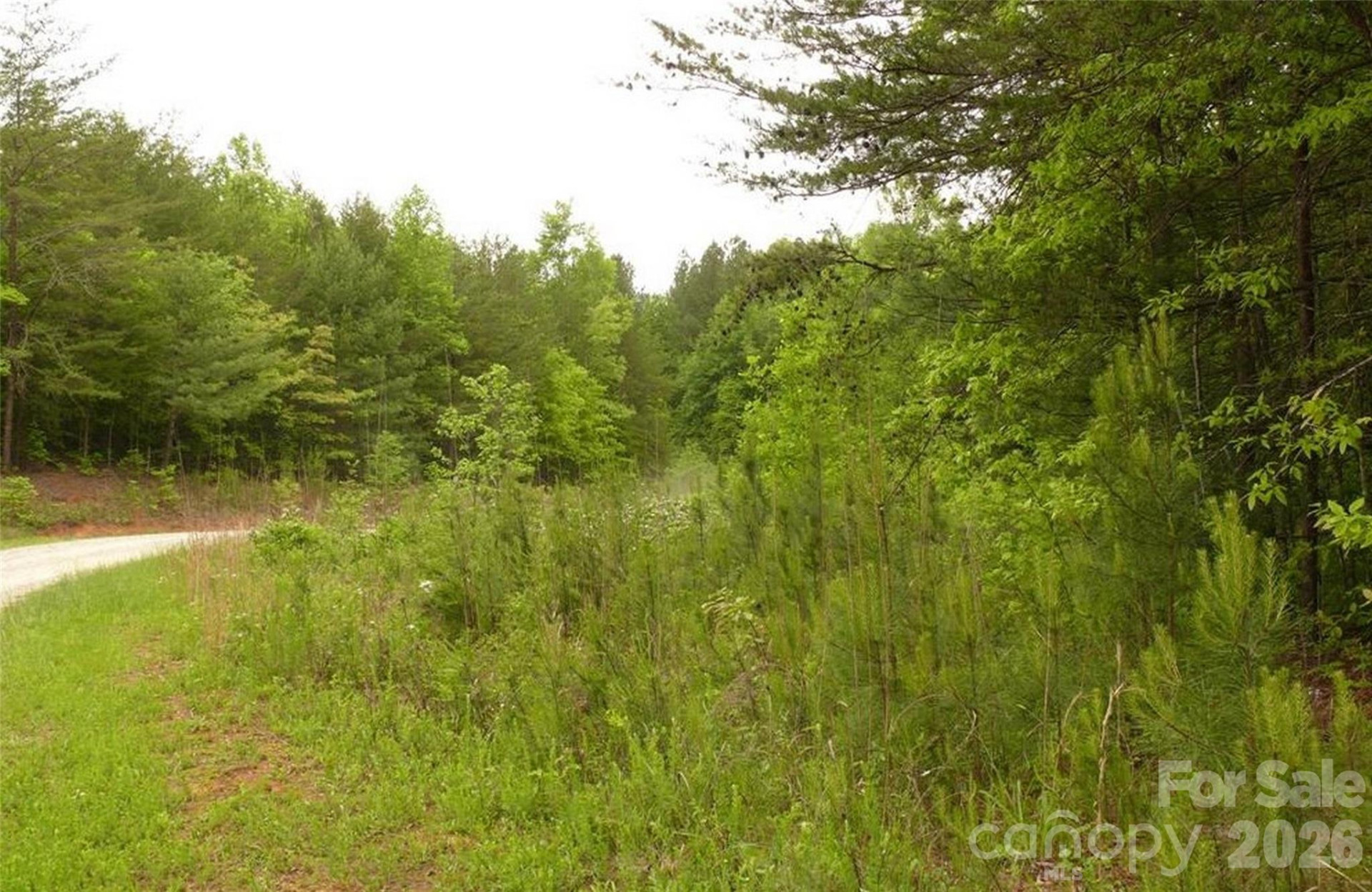 0 Vineyards Way #14 - Photo 6