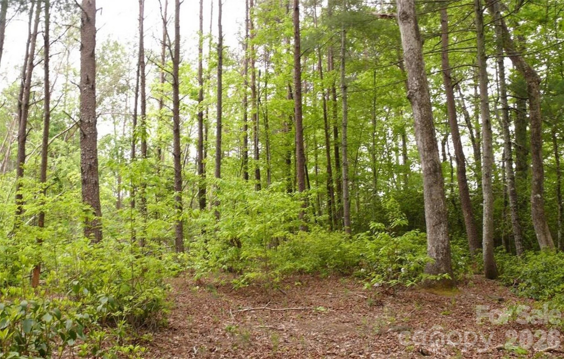 0 Vineyards Way #14 - Photo 7