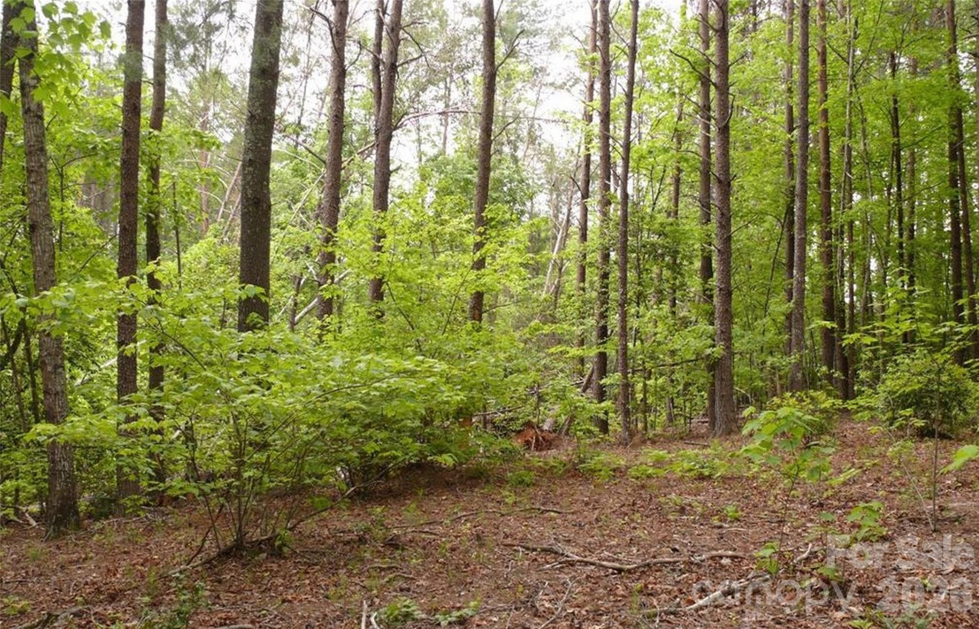 0 Vineyards Way #14 - Photo 8