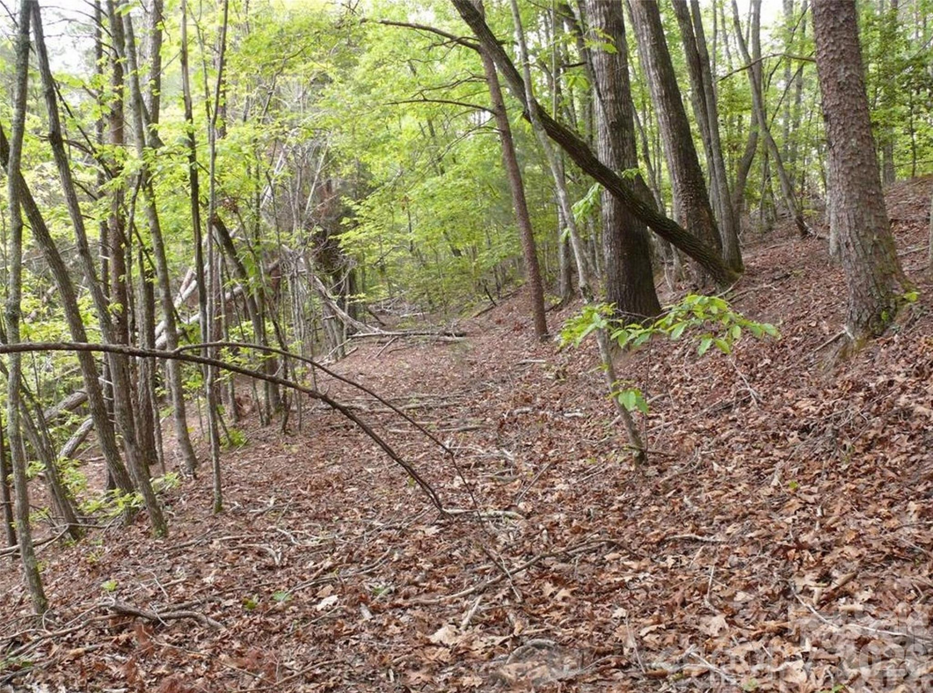 0 Vineyards Way #14 - Photo 9