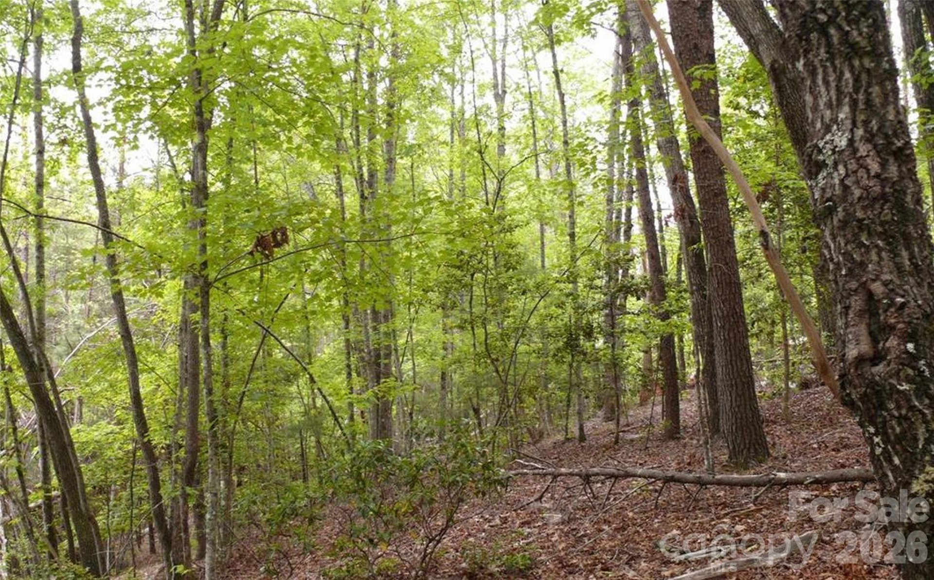 0 Vineyards Way #14 - Photo 10