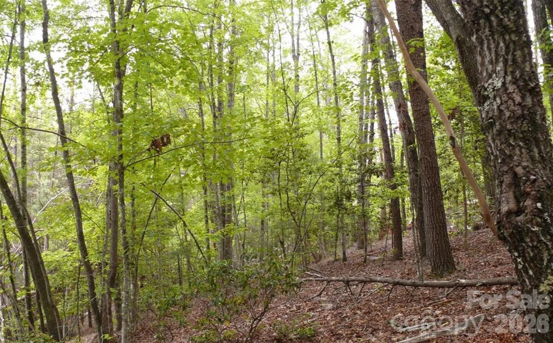 0 Vineyards Way #14 - Photo 10