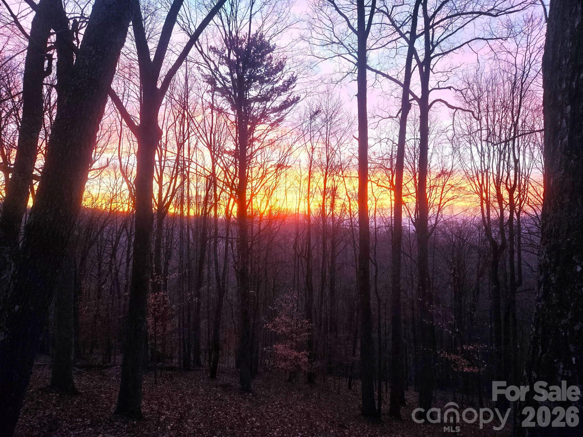 462 Little Mountain Road - Photo 46