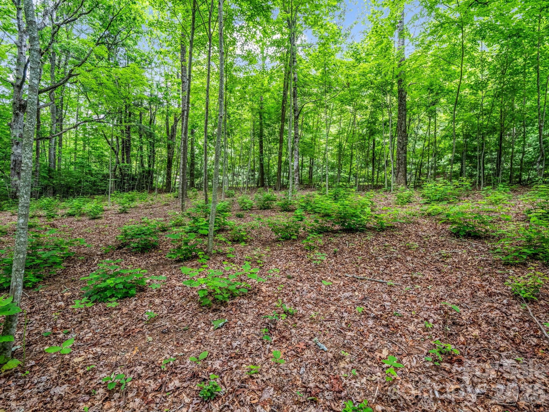 168 Tarnhill Drive - Photo 13