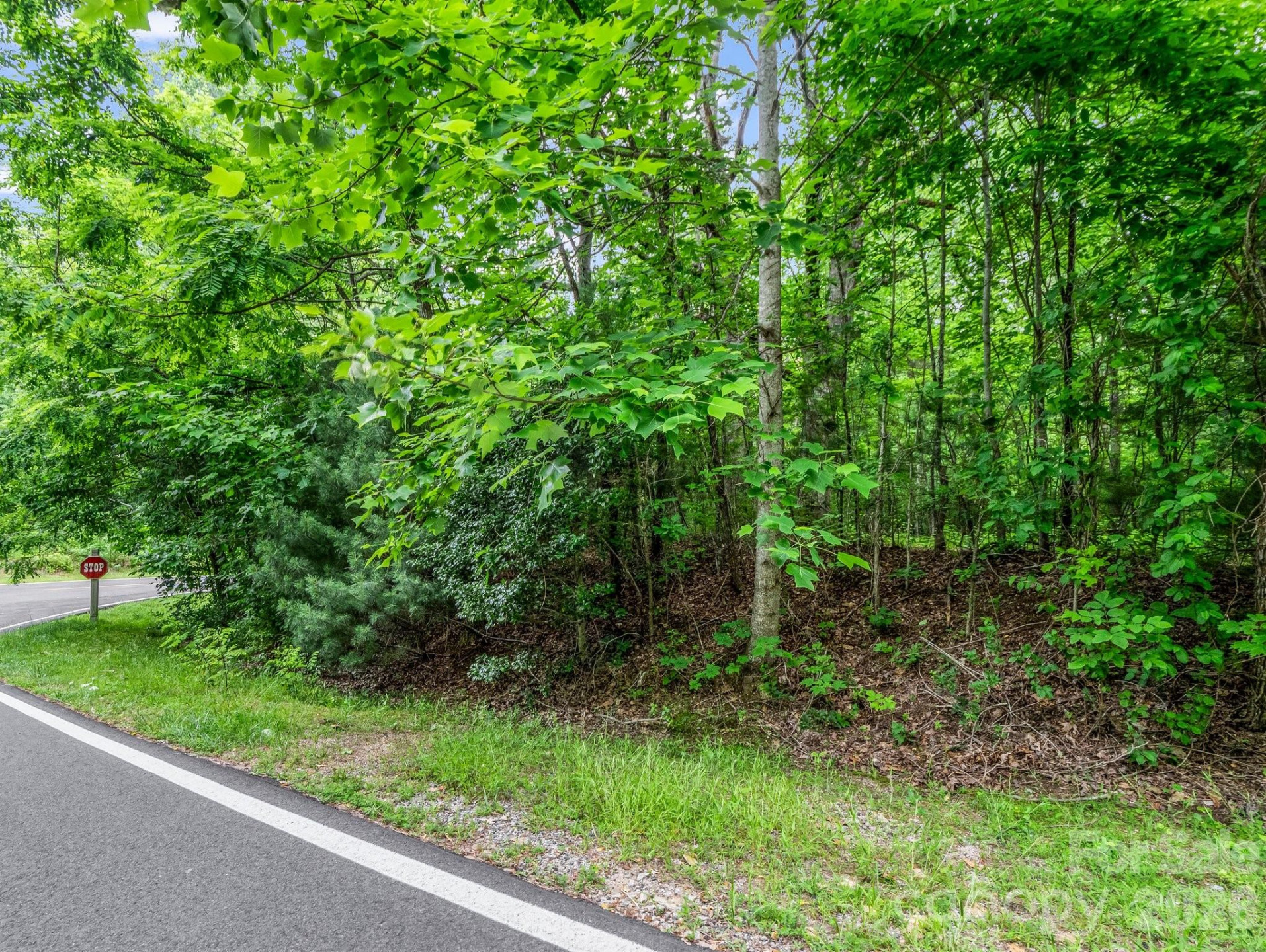 168 Tarnhill Drive - Photo 14