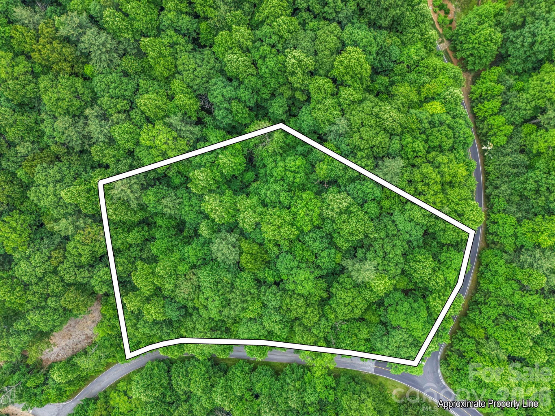 168 Tarnhill Drive - Photo 15