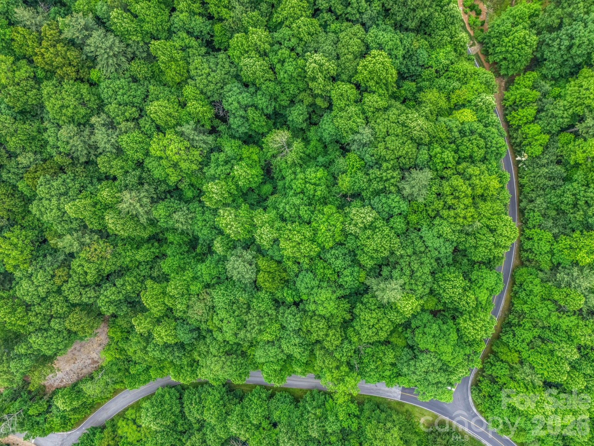 168 Tarnhill Drive - Photo 18