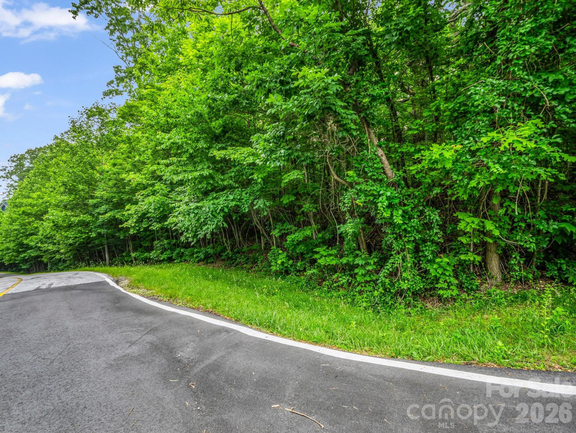 168 Tarnhill Drive - Photo 3