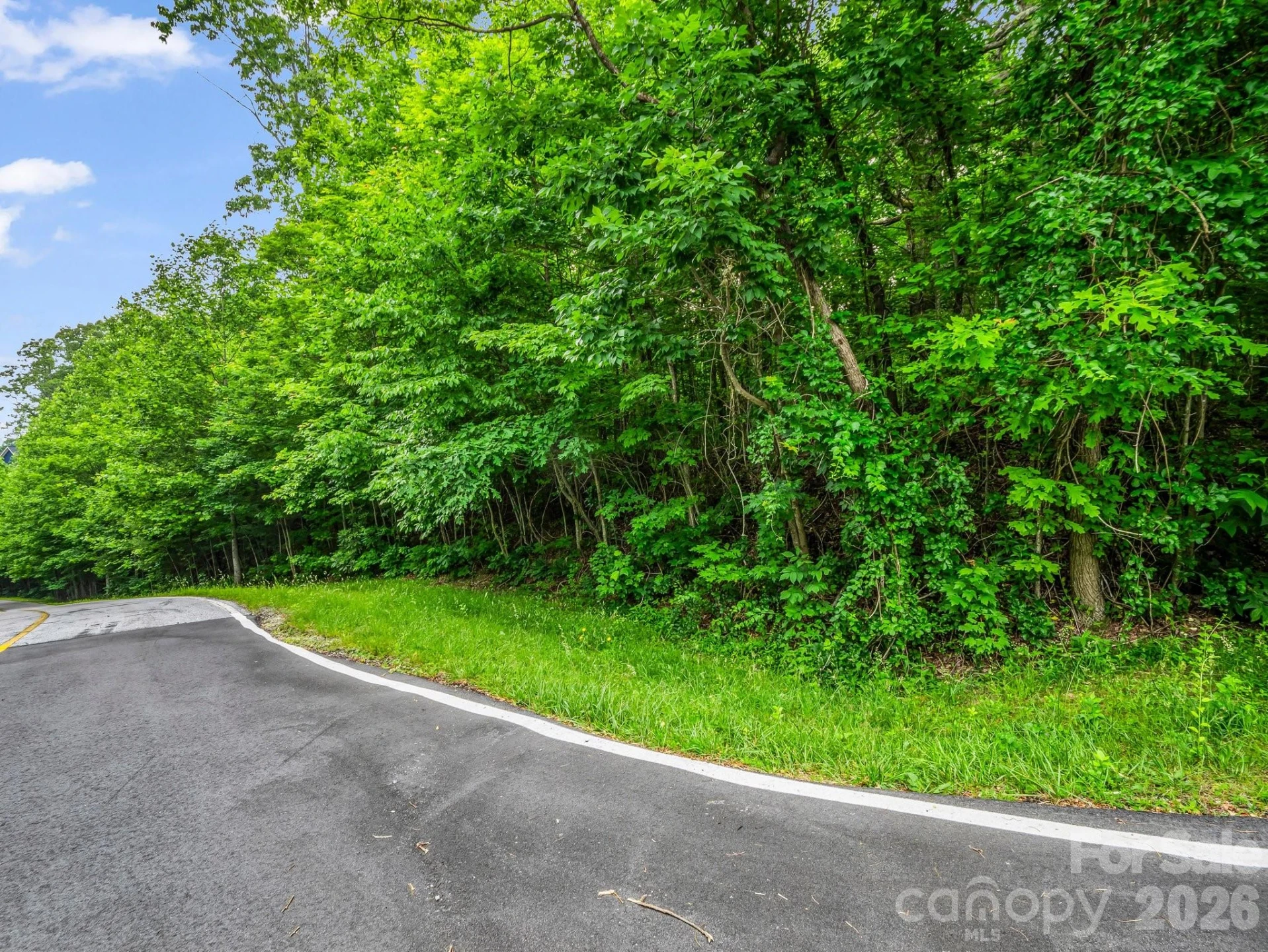 168 Tarnhill Drive - Photo 3
