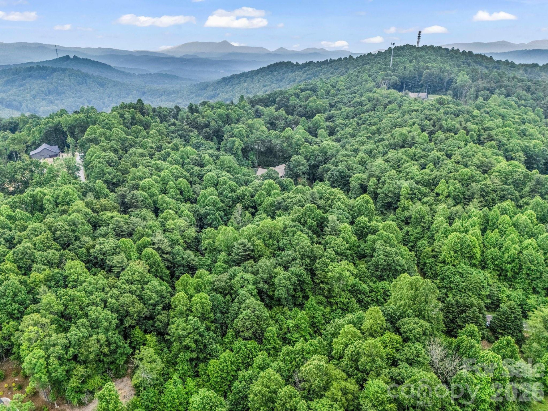 168 Tarnhill Drive - Photo 29