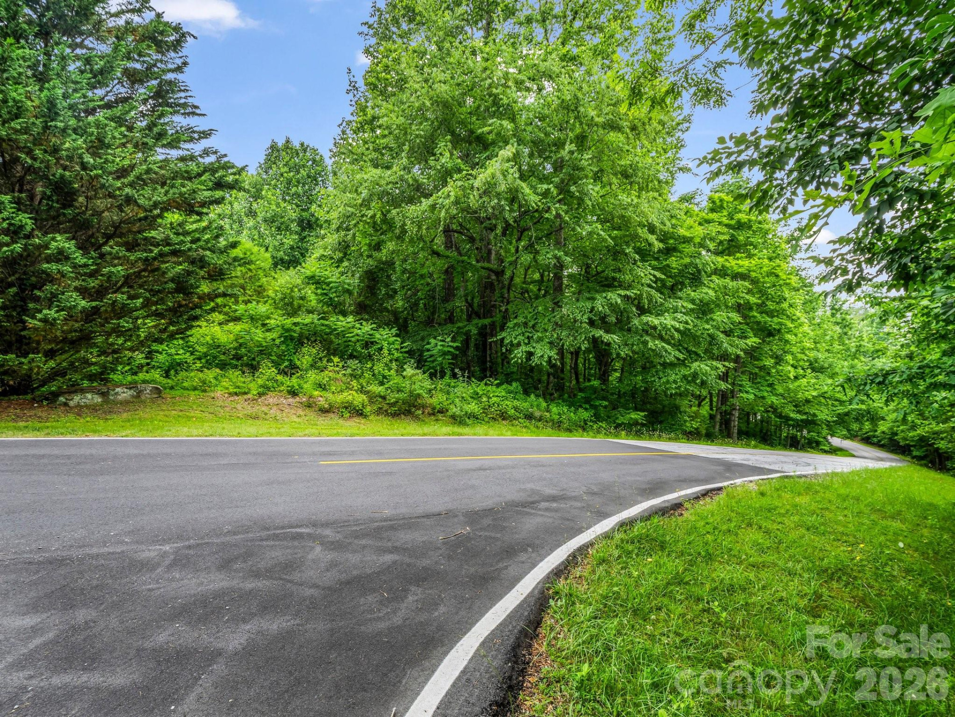 168 Tarnhill Drive - Photo 4