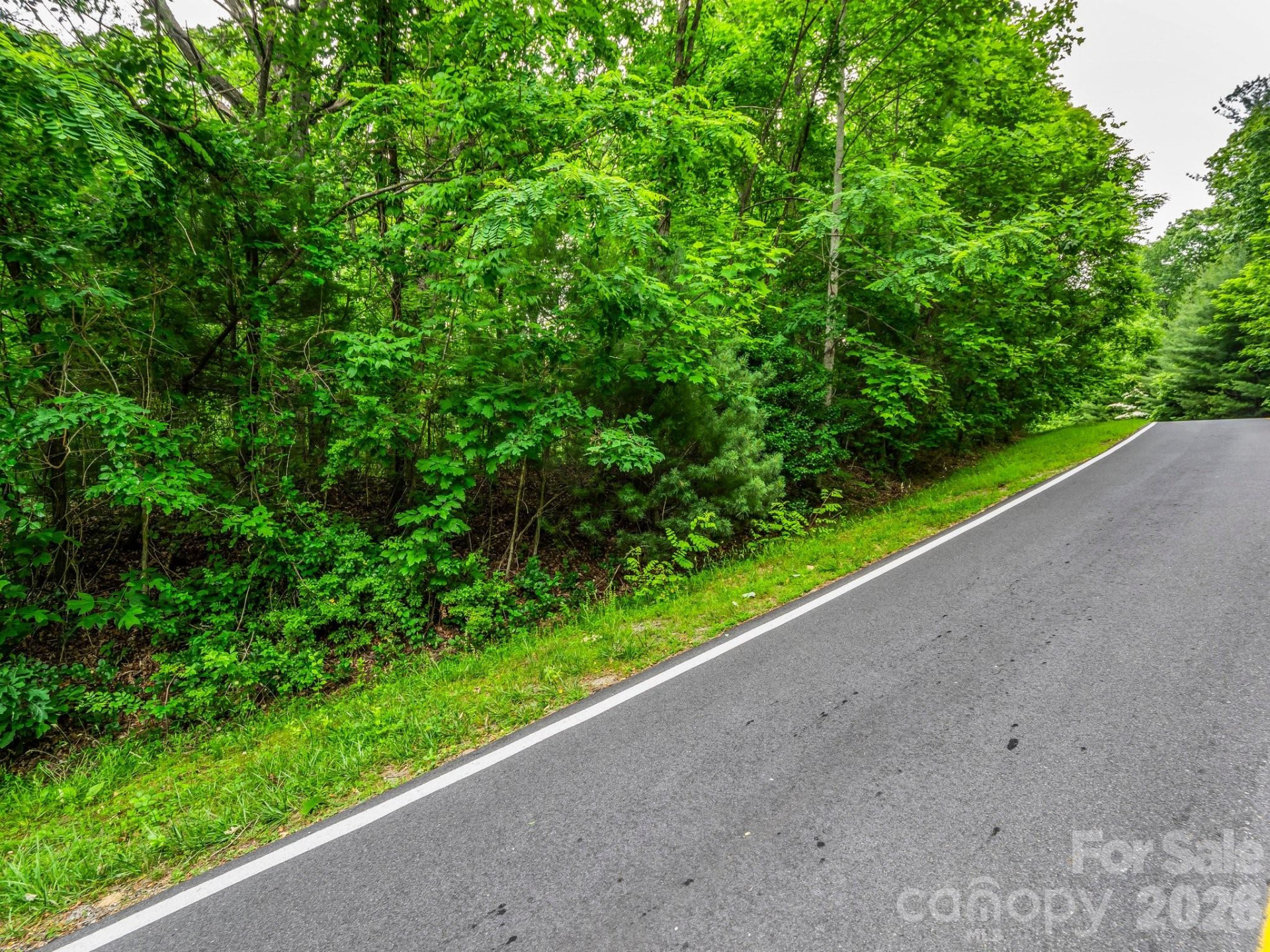 168 Tarnhill Drive - Photo 5