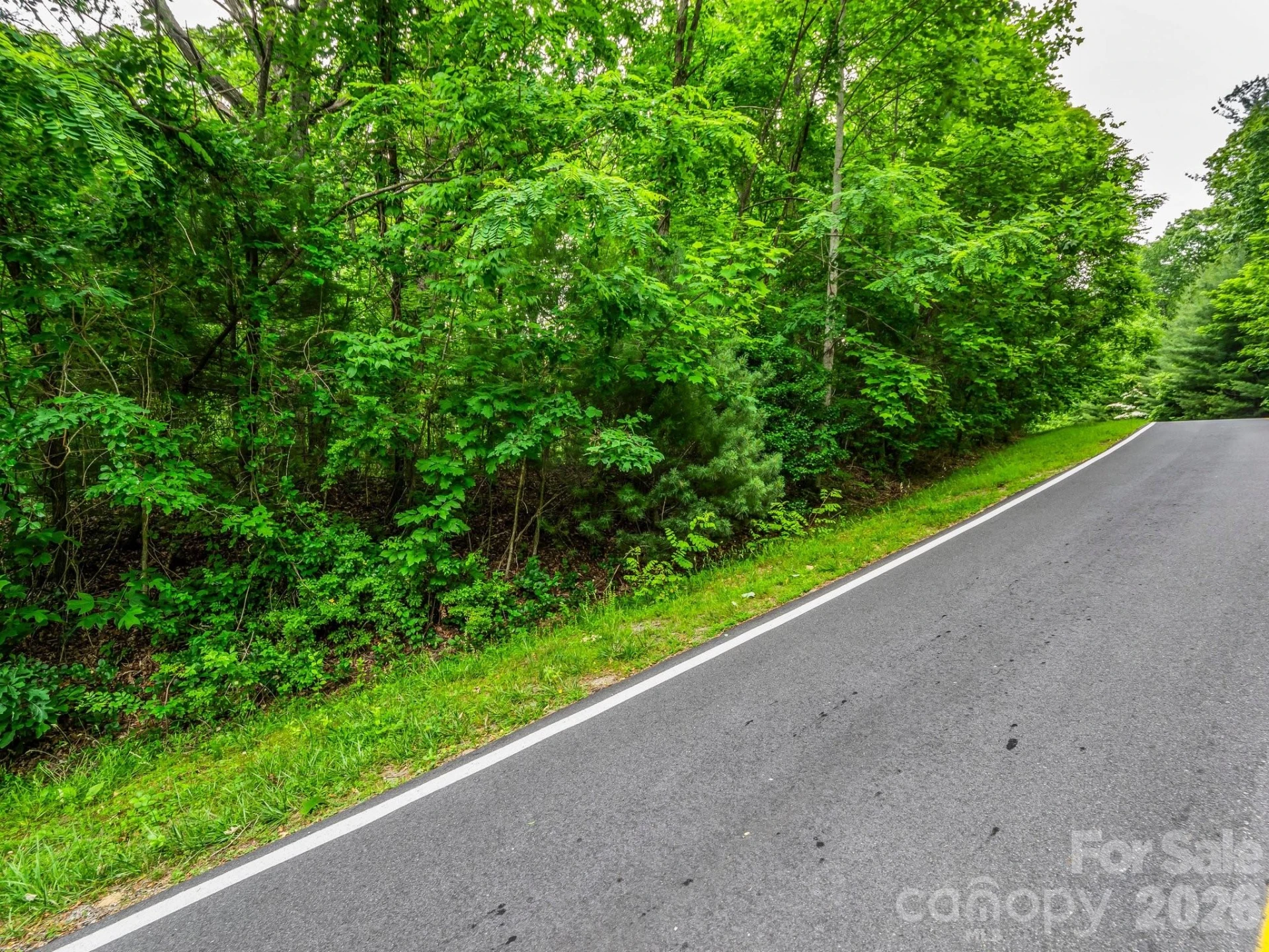 168 Tarnhill Drive - Photo 5