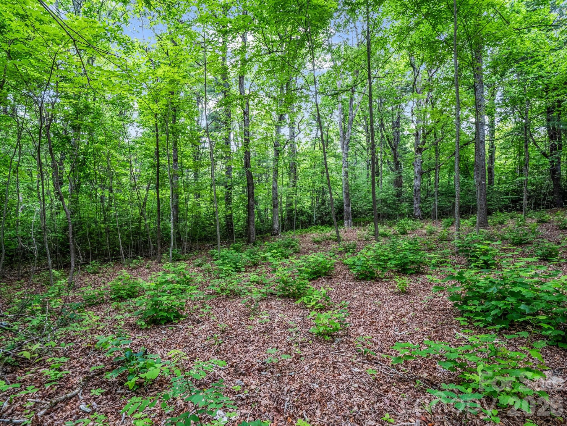 168 Tarnhill Drive - Photo 9