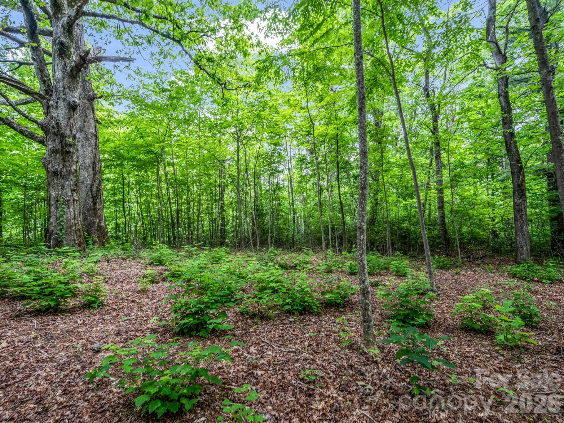 168 Tarnhill Drive - Photo 10