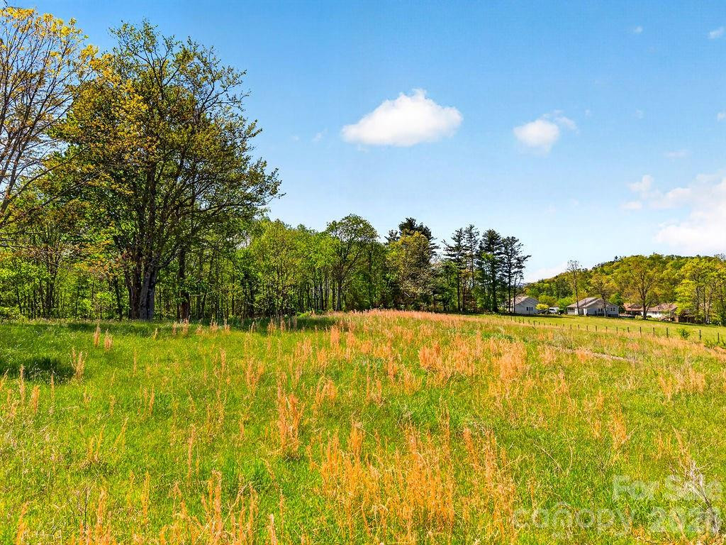 000 Etowah School Road - Photo 2