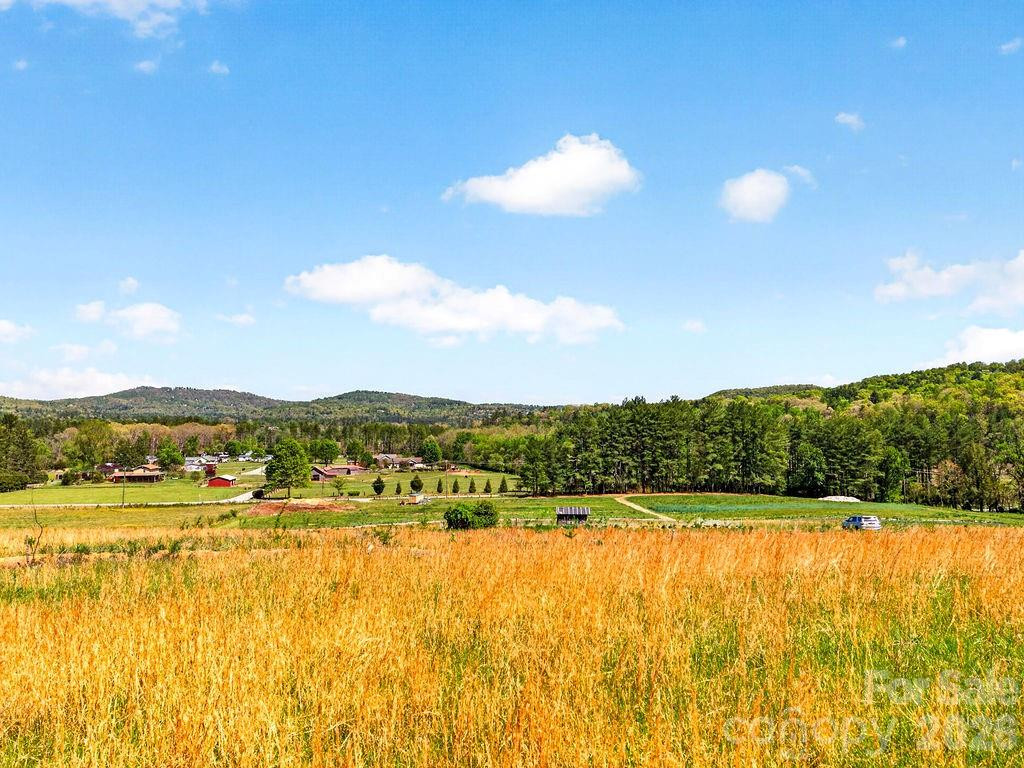 000 Etowah School Road - Photo 11