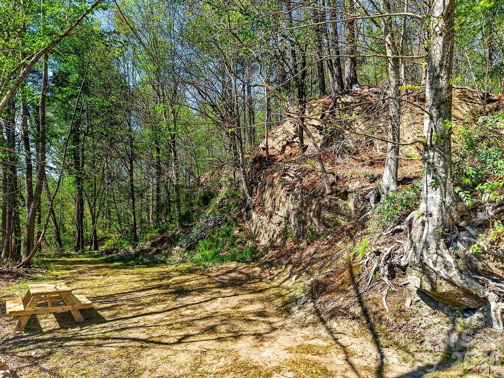 000 Etowah School Road - Photo 15