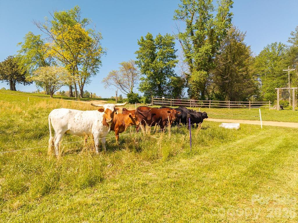 000 Etowah School Road - Photo 20