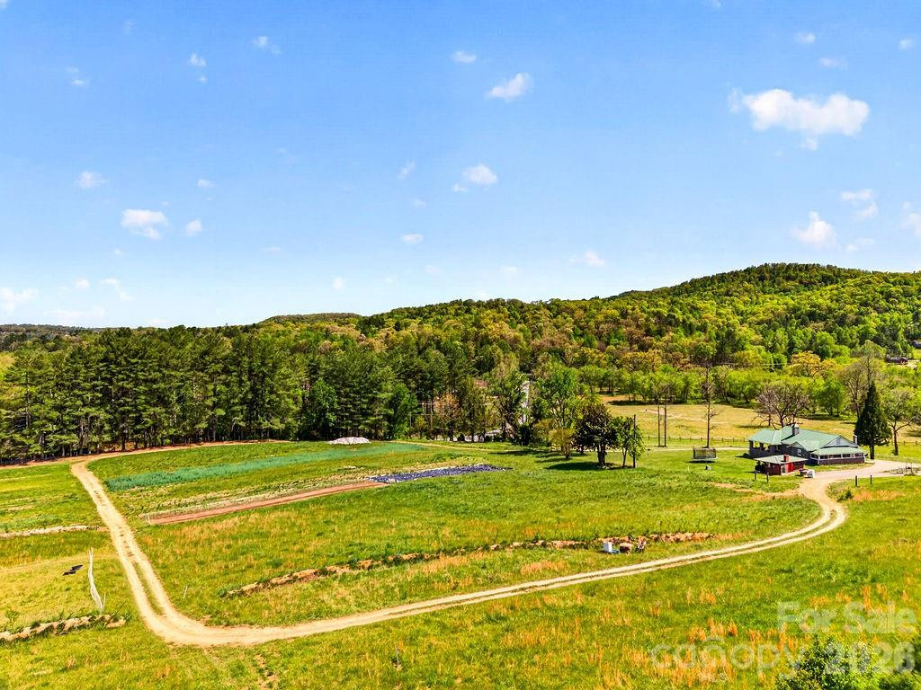 000 Etowah School Road - Photo 3