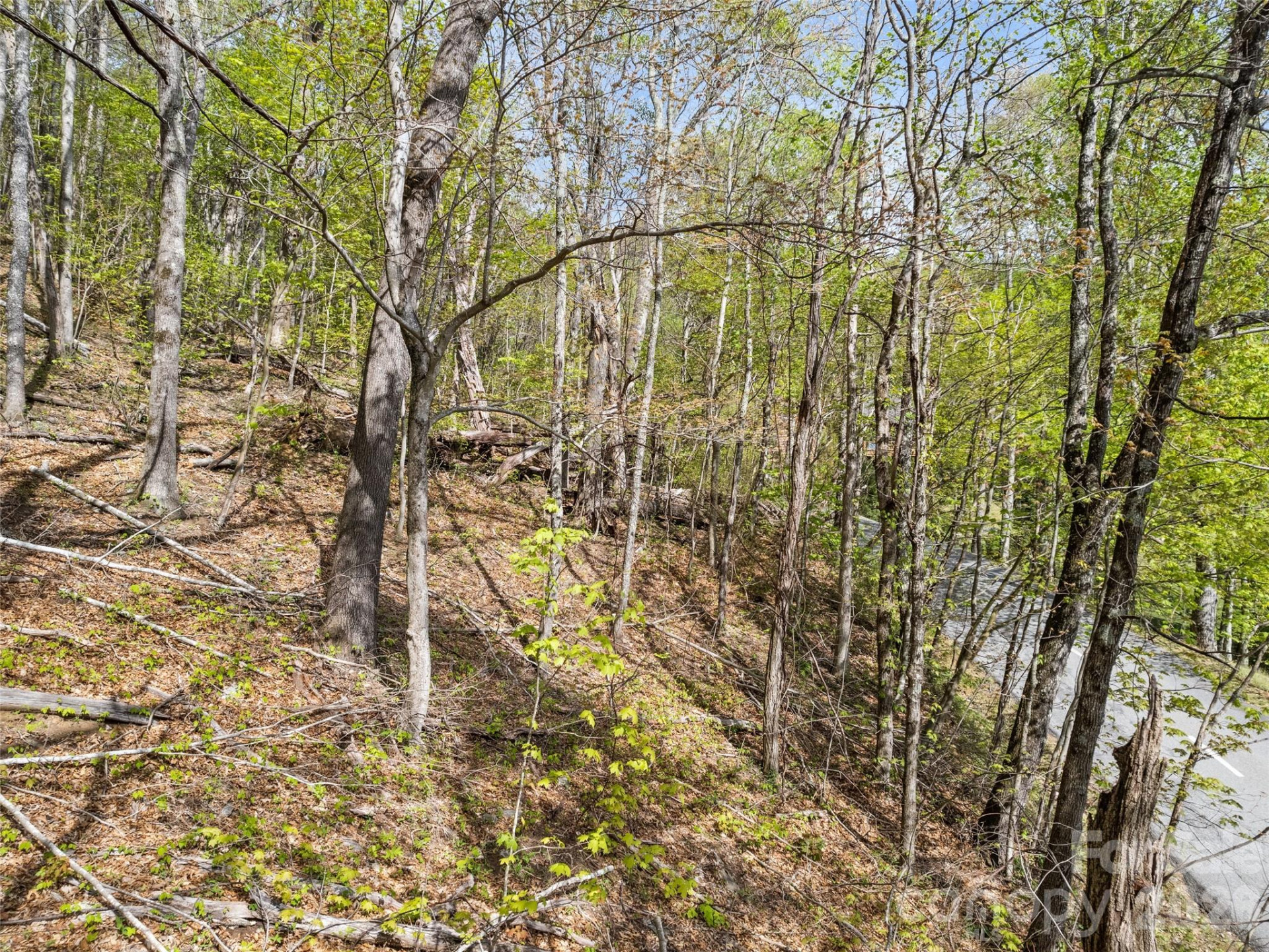 00 Presidential Drive - Photo 4