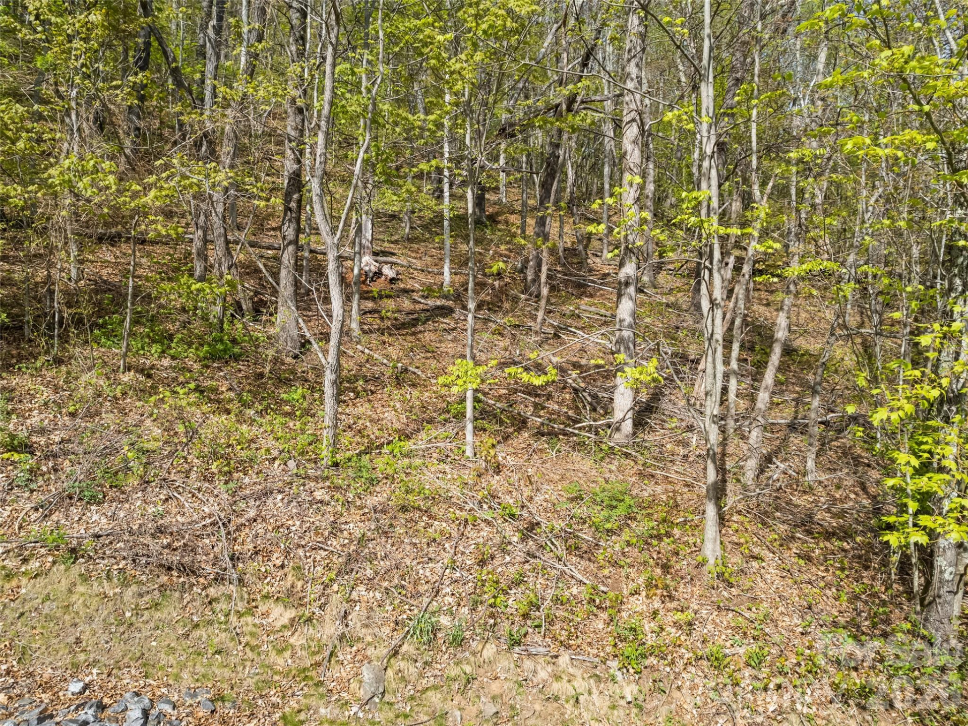 00 Presidential Drive - Photo 5