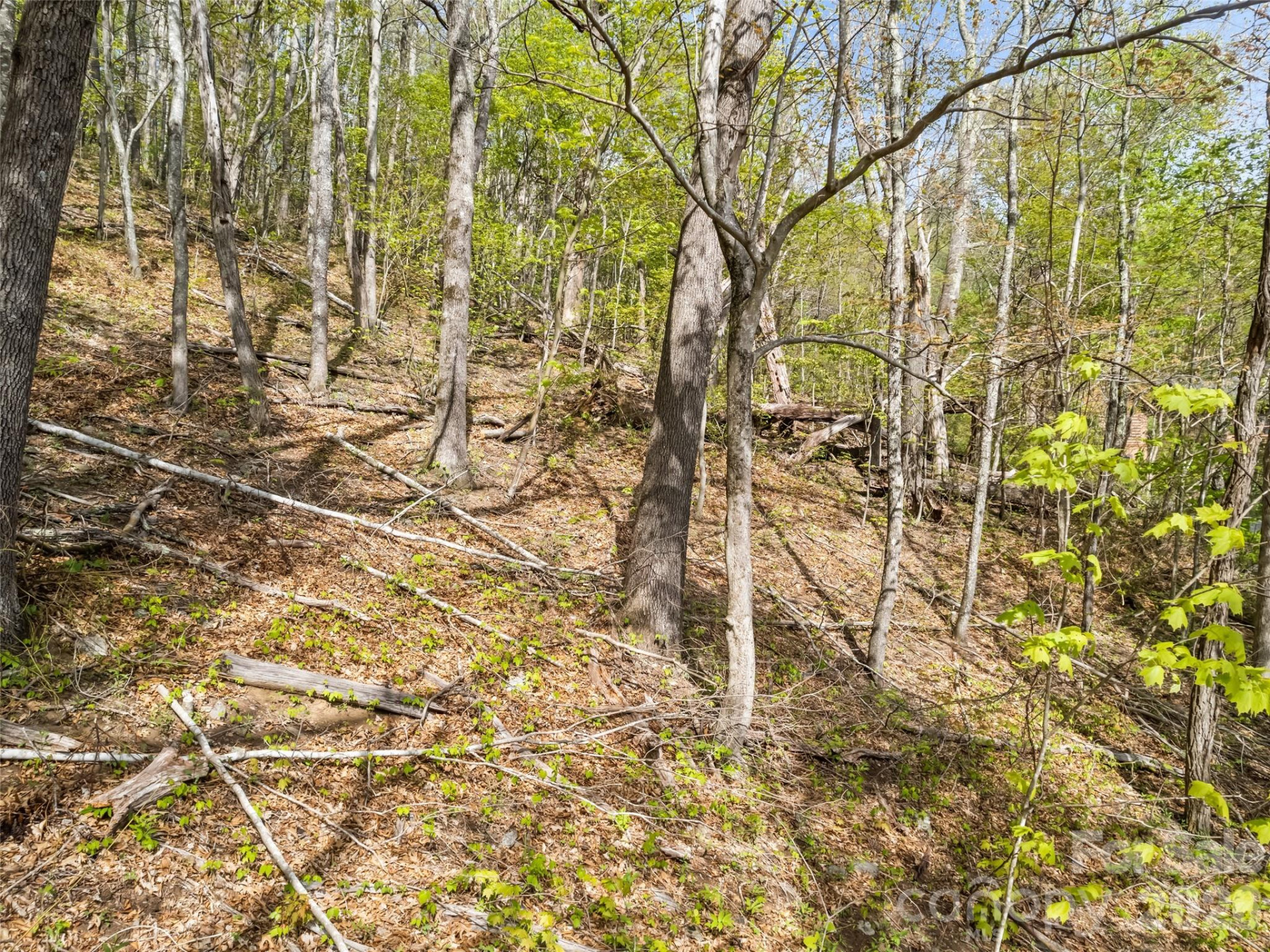 00 Presidential Drive - Photo 6