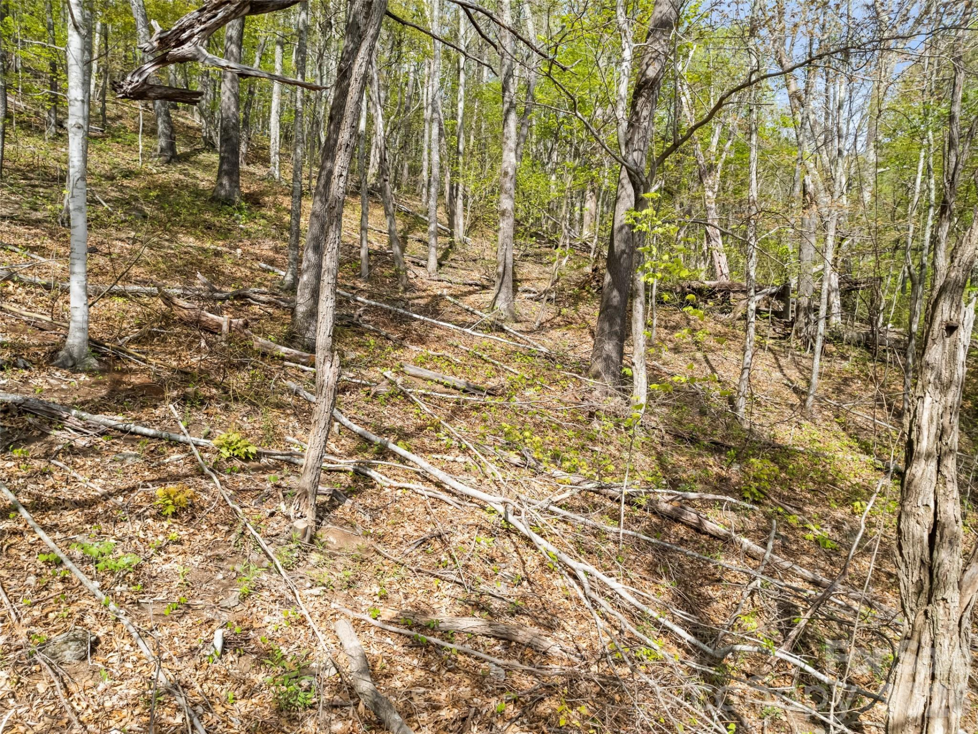 00 Presidential Drive - Photo 7