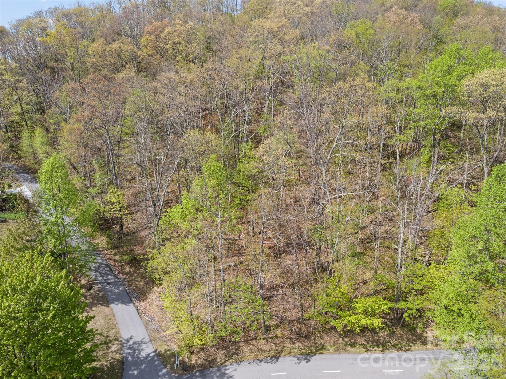 00 Presidential Drive - Photo 10