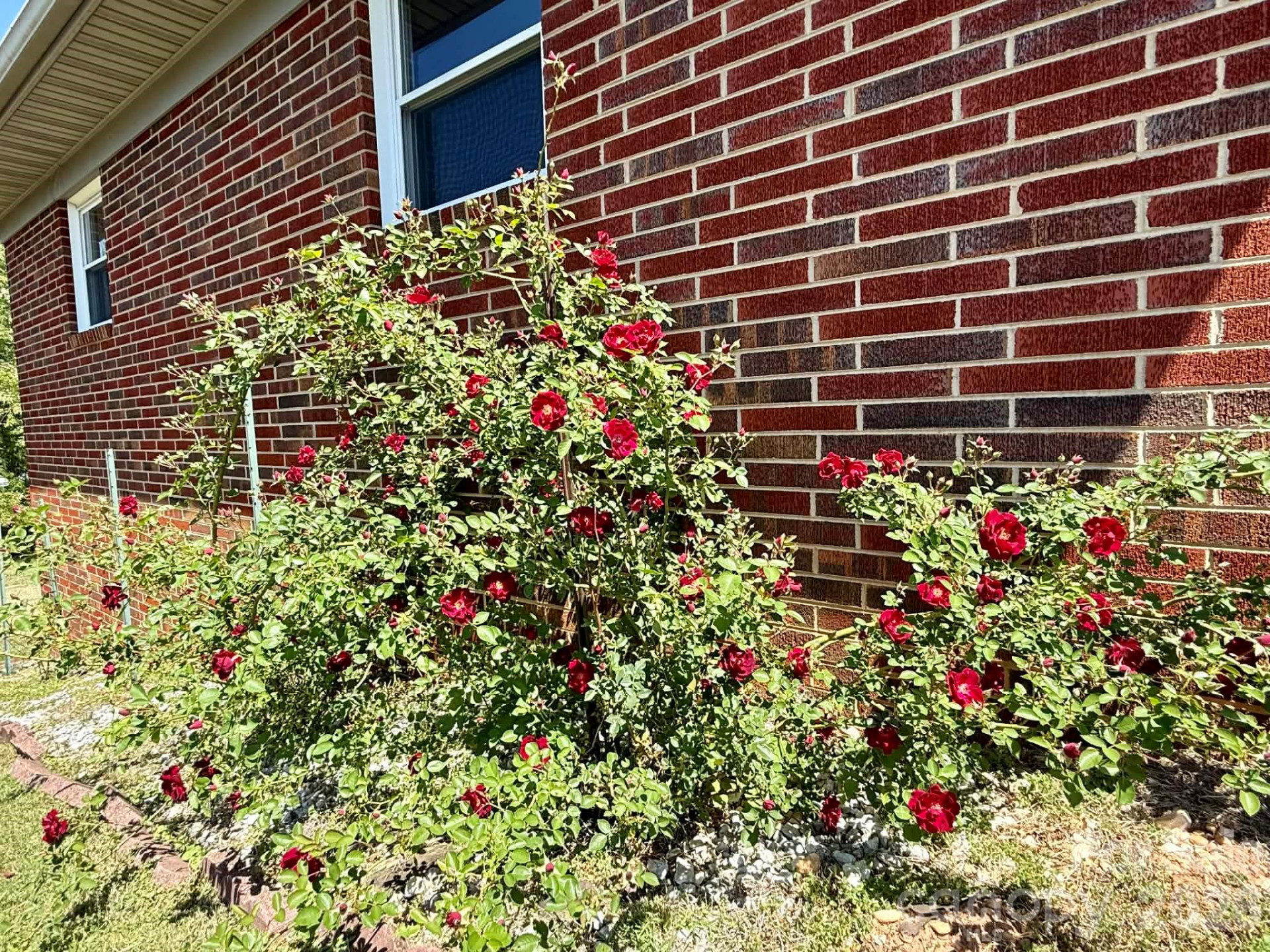 3195 Westview Street - Photo 45