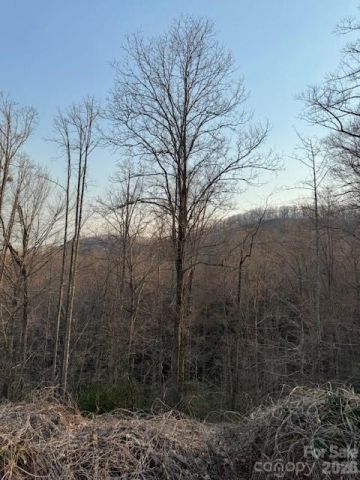 910 Morgan Hill Road, Black Mountain, NC, 28711