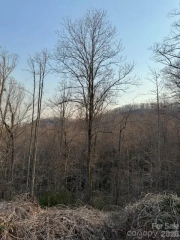910 Morgan Hill Road, Black Mountain, NC, 28711