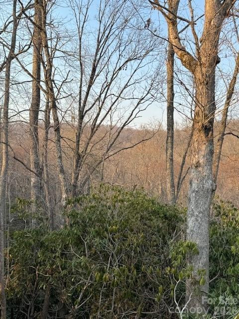 910 Morgan Hill Road - Photo 3