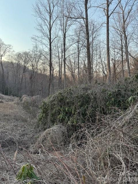 910 Morgan Hill Road - Photo 4