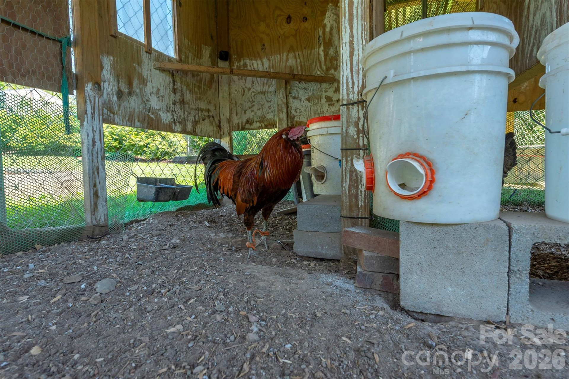 230 Blythewood Drive - Photo 29