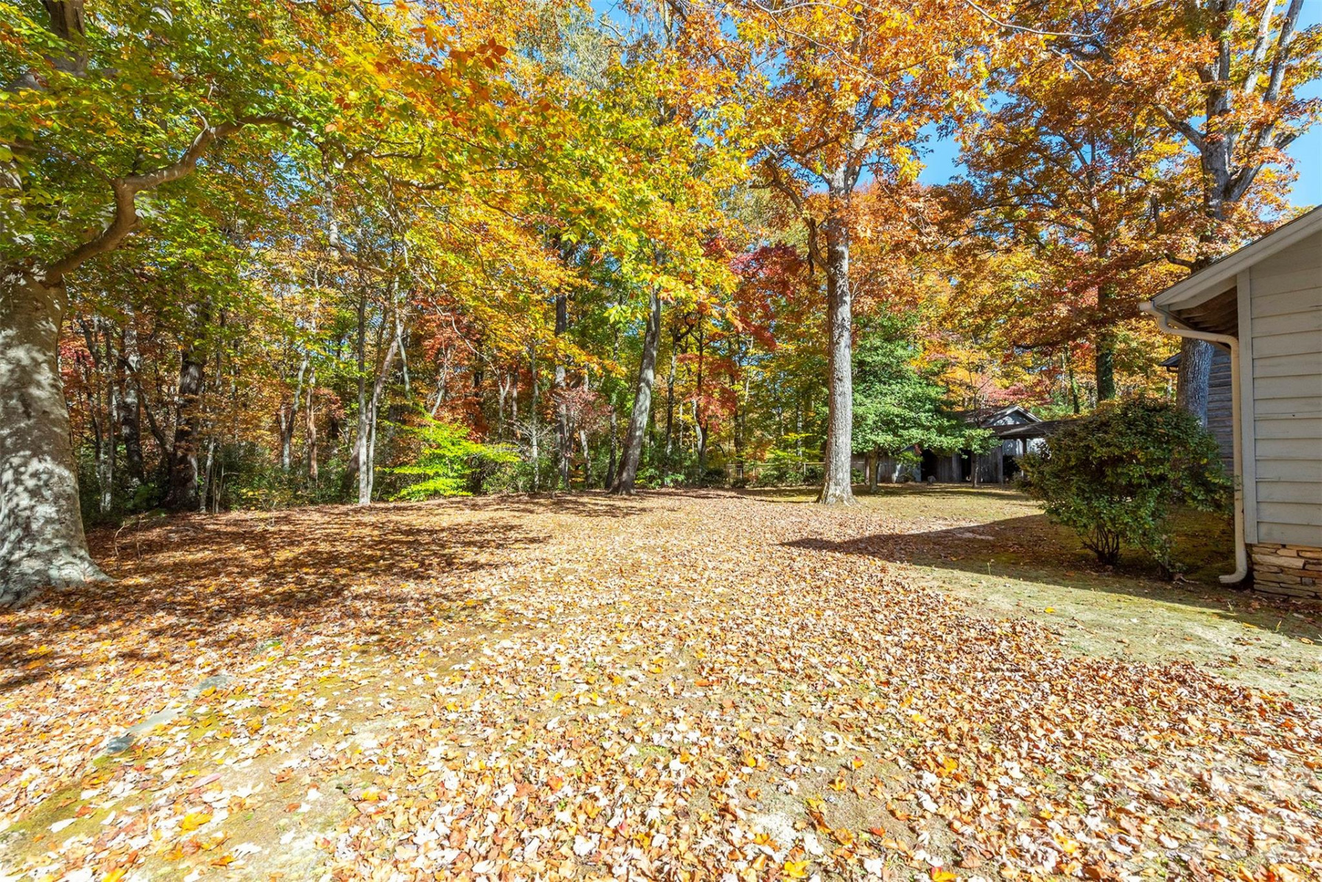 102 Weaver Mill Road - Photo 3