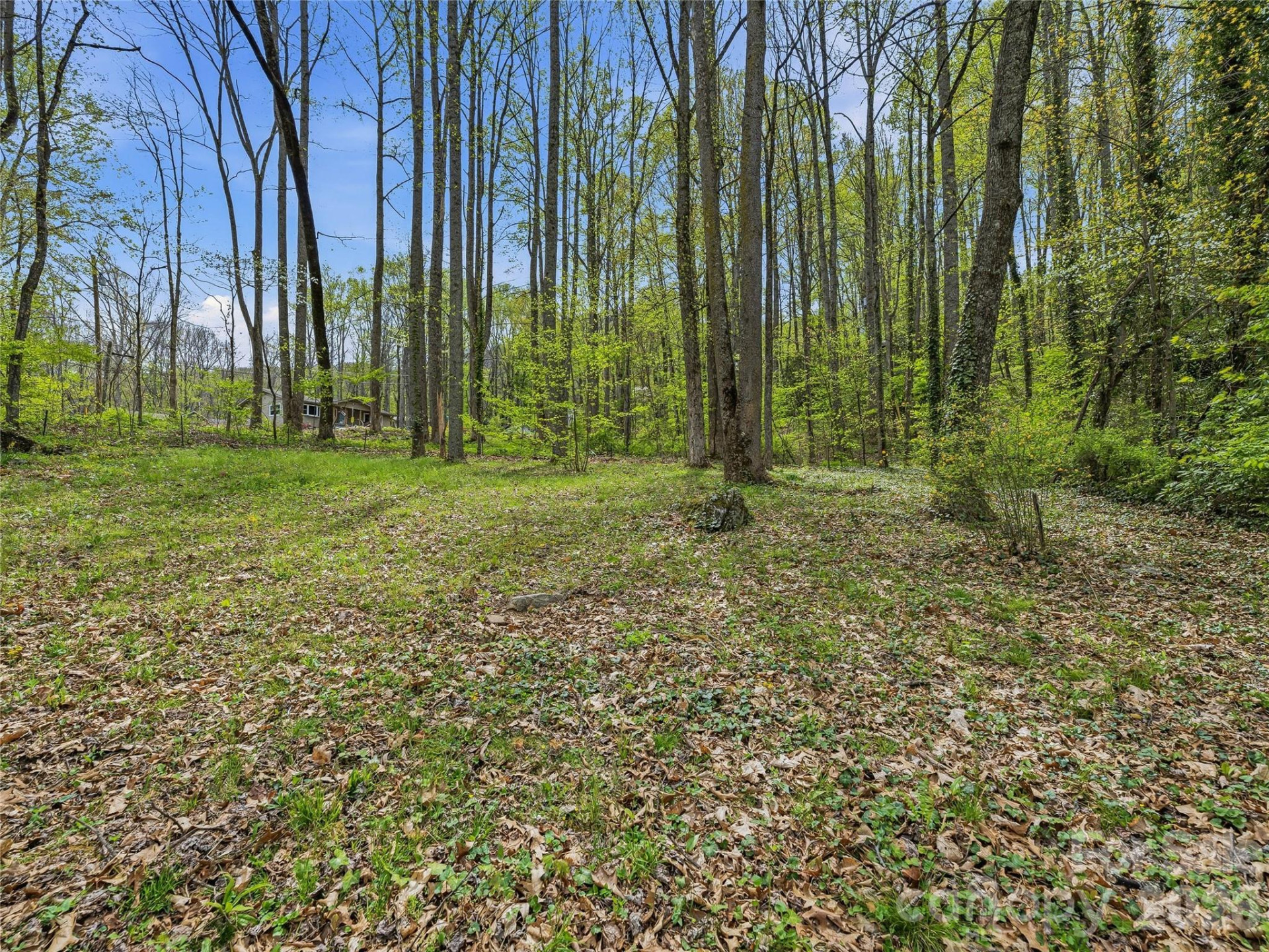 36 Dogwood Drive - Photo 37