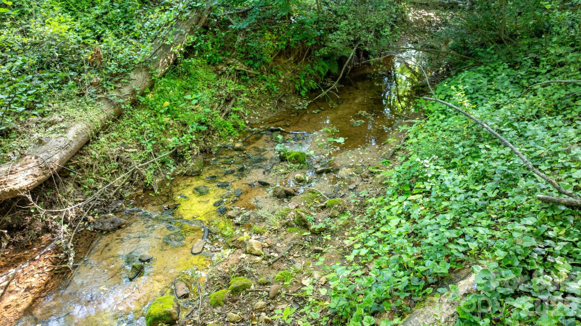 216 Davis Drive - Photo 26