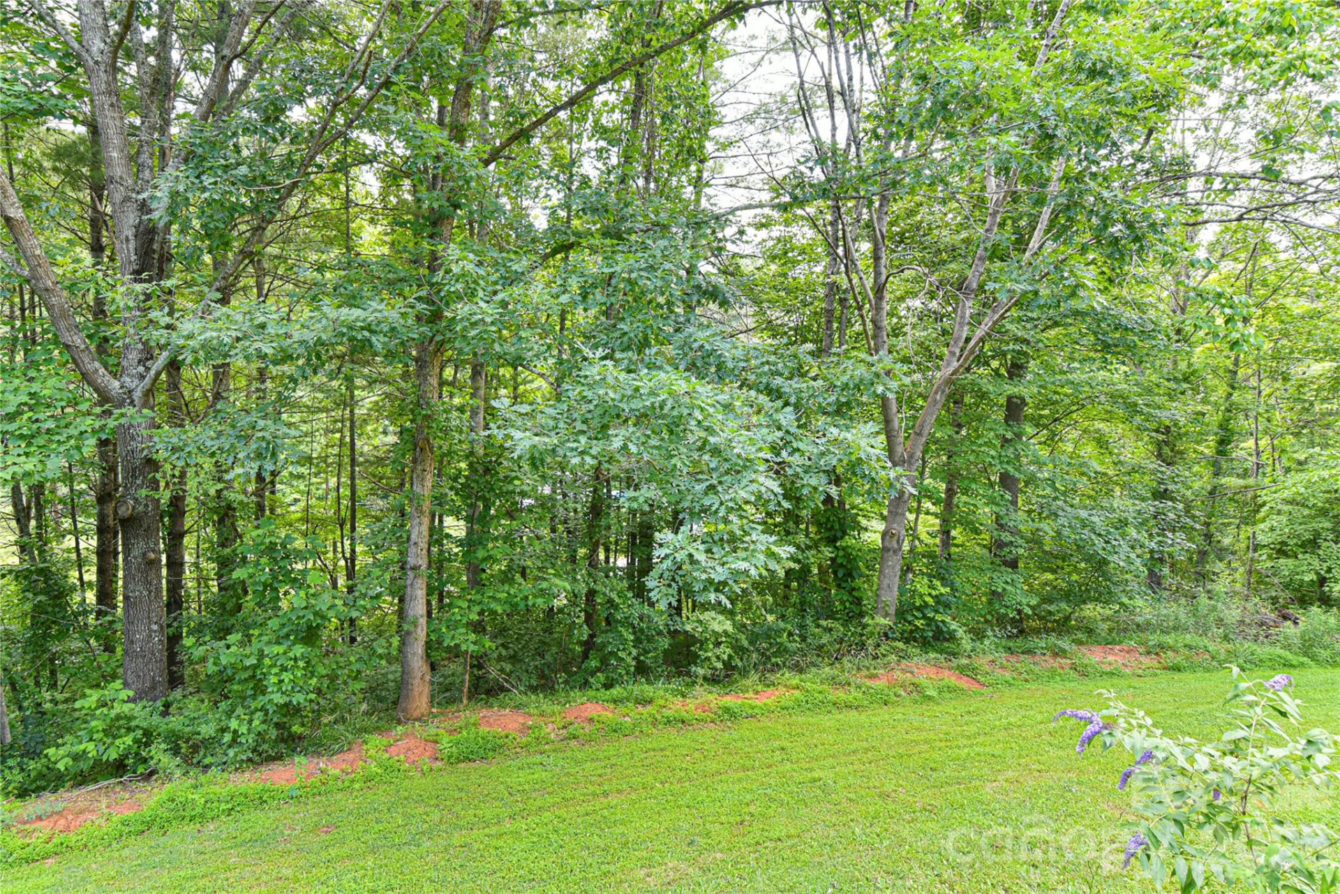 10 Gentry Branch Road - Photo 30
