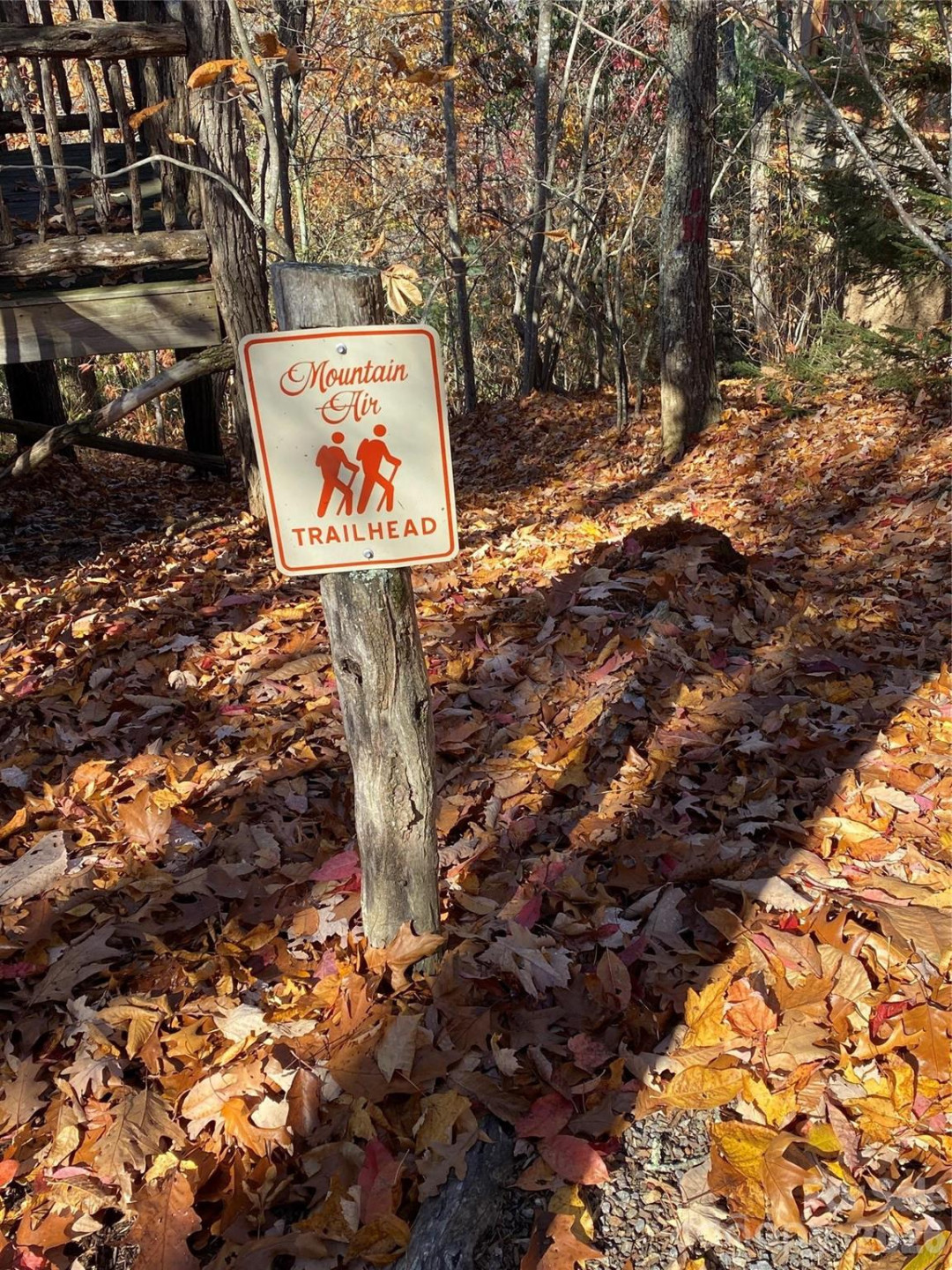 220 Stoney Falls Loop #1 B2 - Photo 37