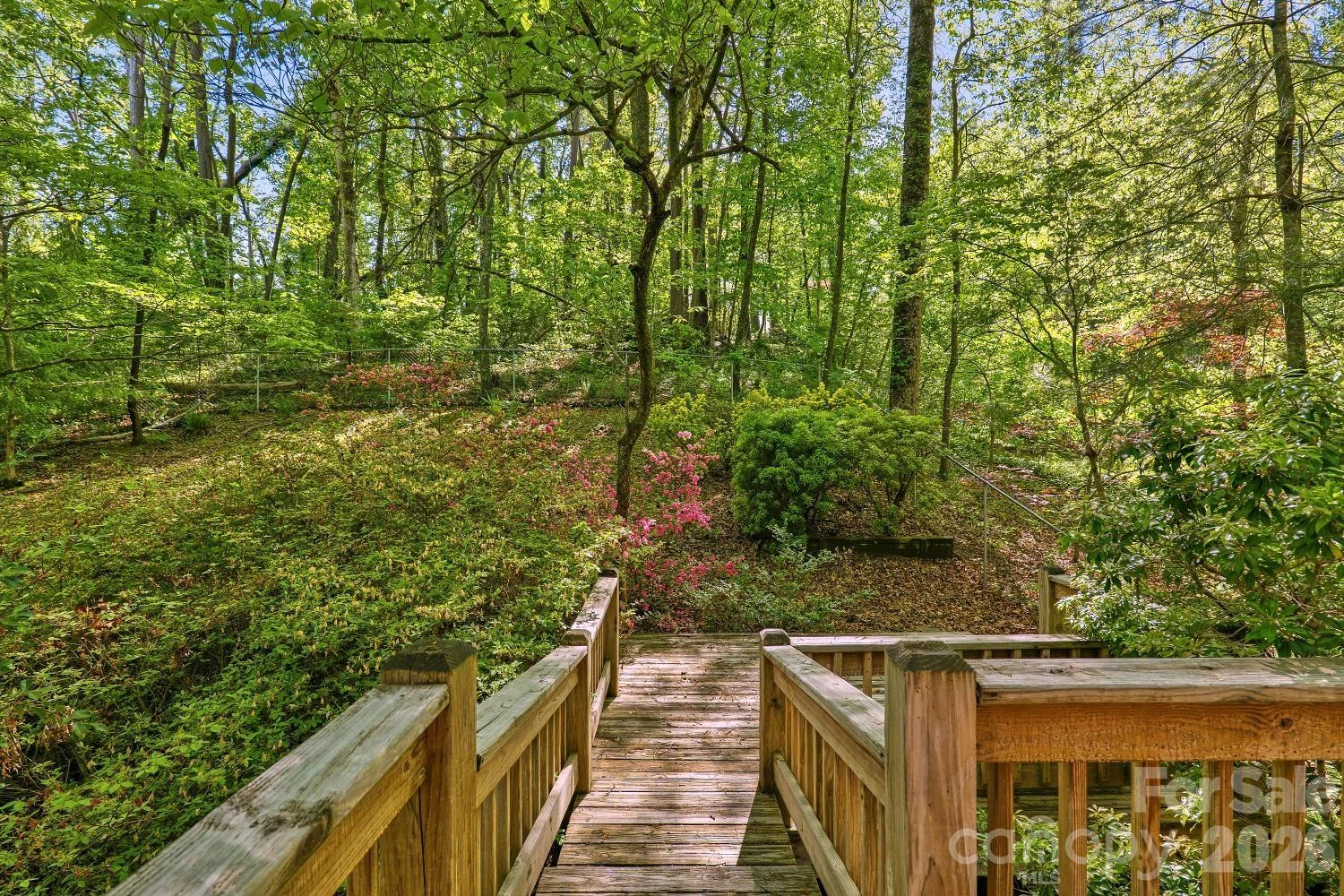 98 Skyline Drive - Photo 11