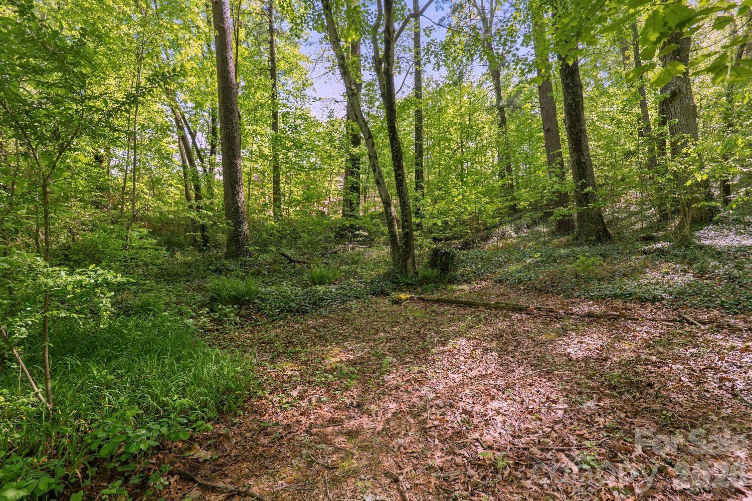 98 Skyline Drive - Photo 23
