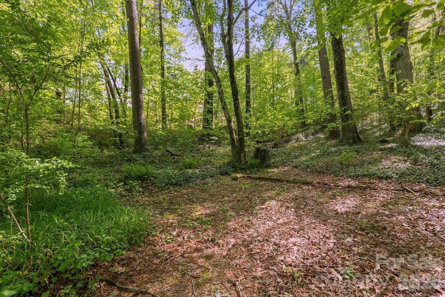 98 Skyline Drive - Photo 23