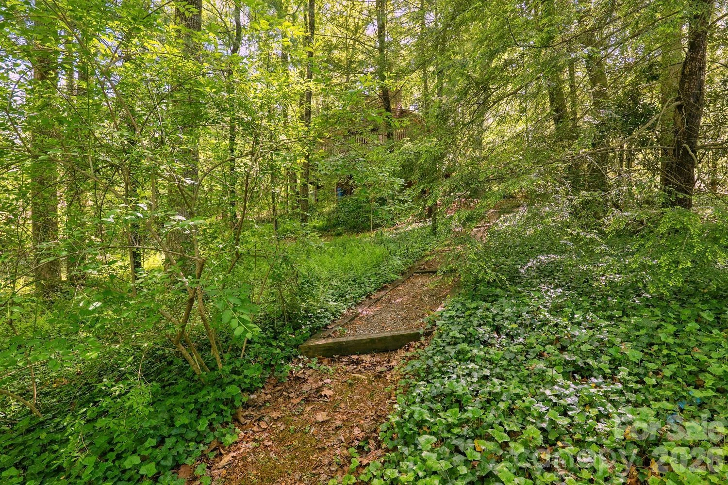 98 Skyline Drive - Photo 4