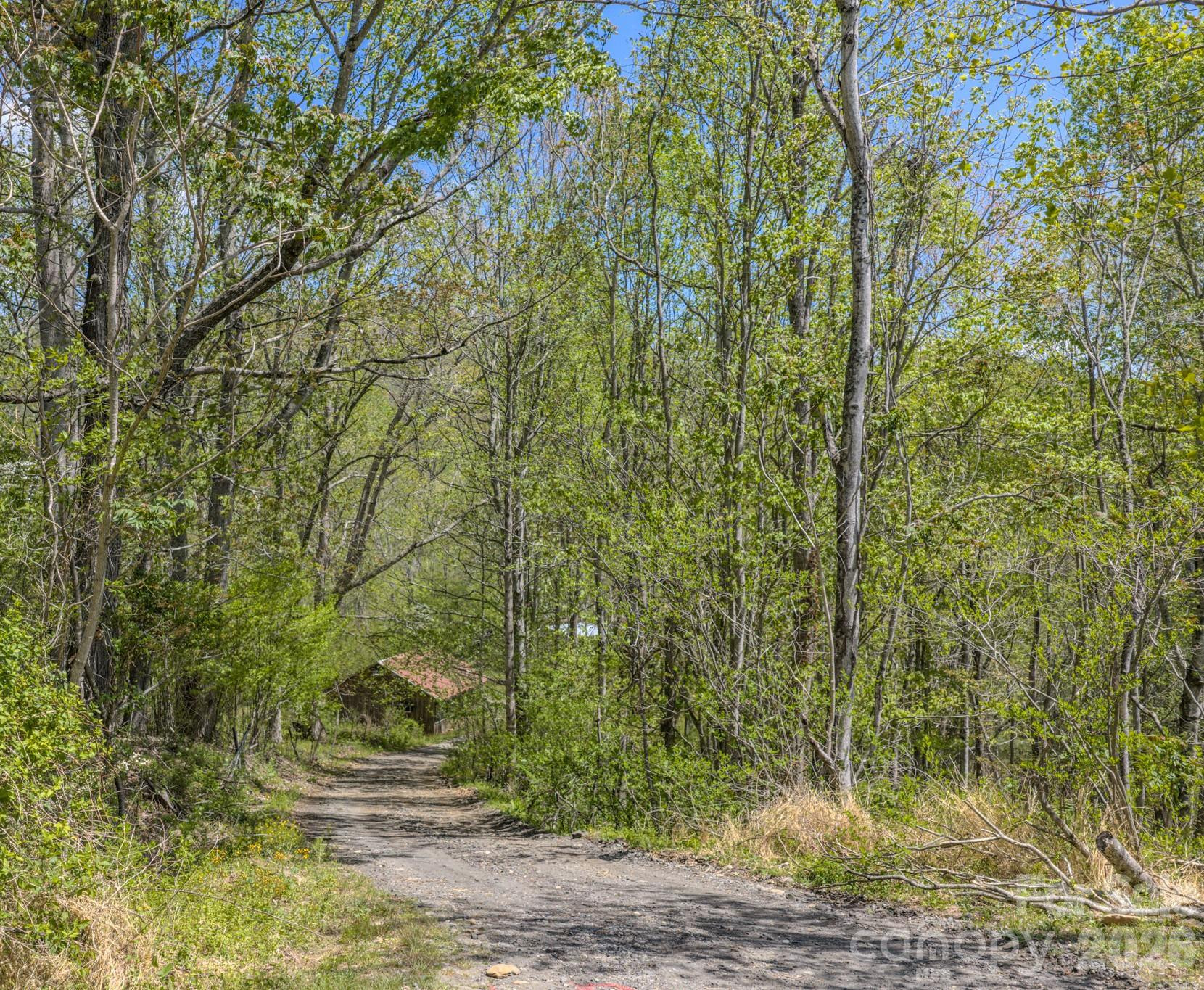 143 Gouge Cemetery Road - Photo 33