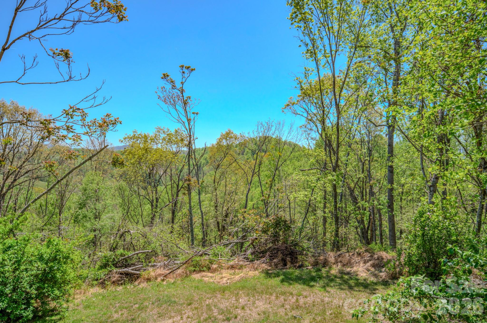 143 Gouge Cemetery Road - Photo 46