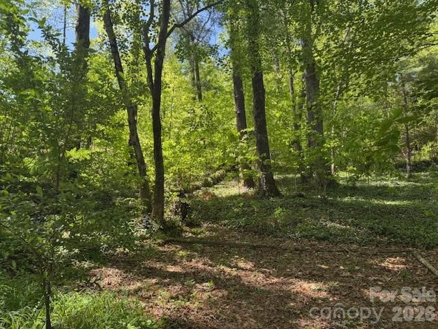 000 Skyline Drive #17 - Photo 2