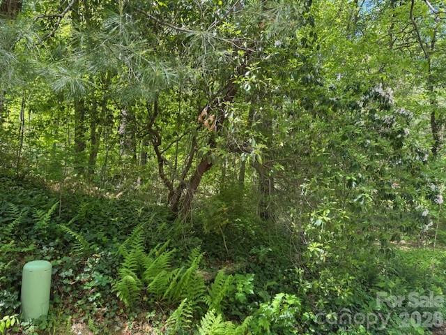 000 Skyline Drive #17 - Photo 3