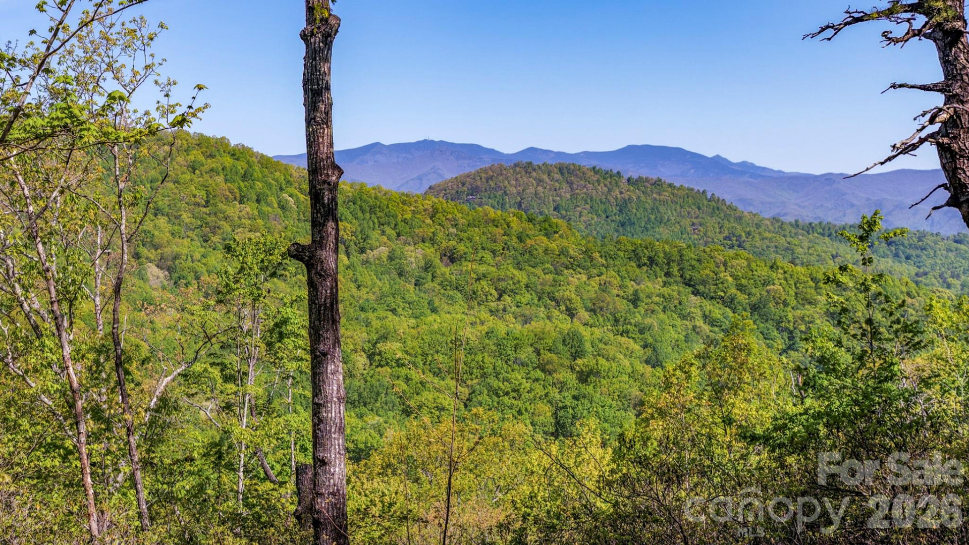 20 Laurel Cottage Lane - Photo 27